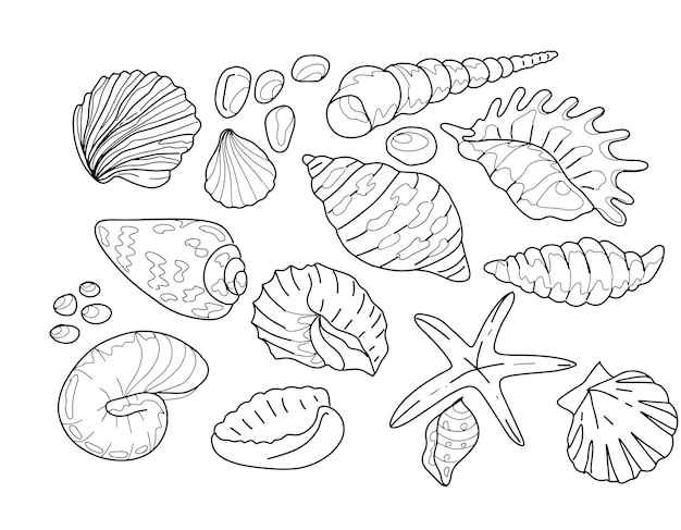Conchas do mar praia verão ilustração gráfica mão desenhada grande conjunto de elementos isolados em branco