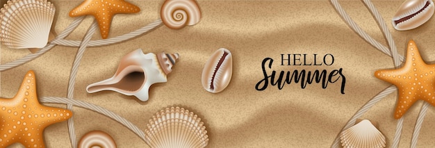 conchas e estrelas do mar em fundo de areia