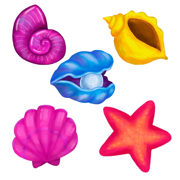 Conchas e estrelas do mar