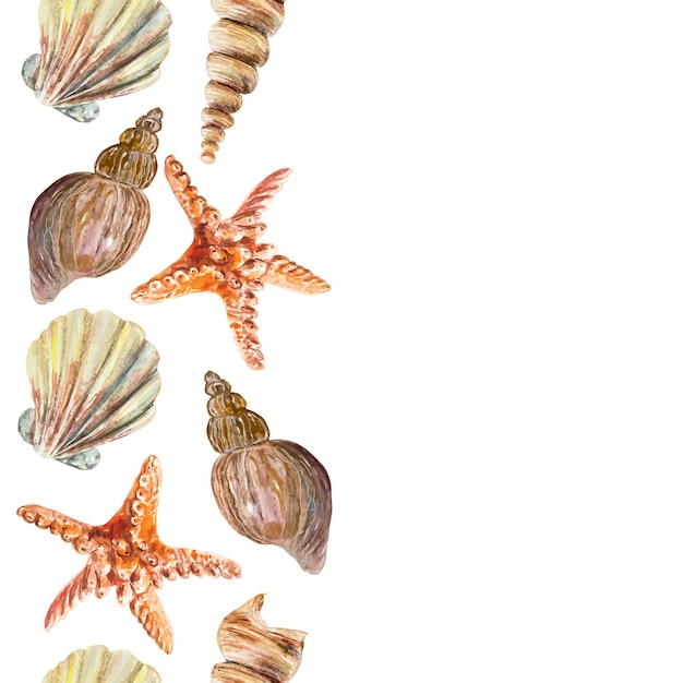 Vetor conchas estrelas de mar borda vertical sem costura aquarela vida marinha bandeiras de viagem rótulos convites