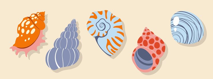Vetor conchas marinhas moluscos caracóis marinhos ilustração plana moderna de conchas marinhas isoladas