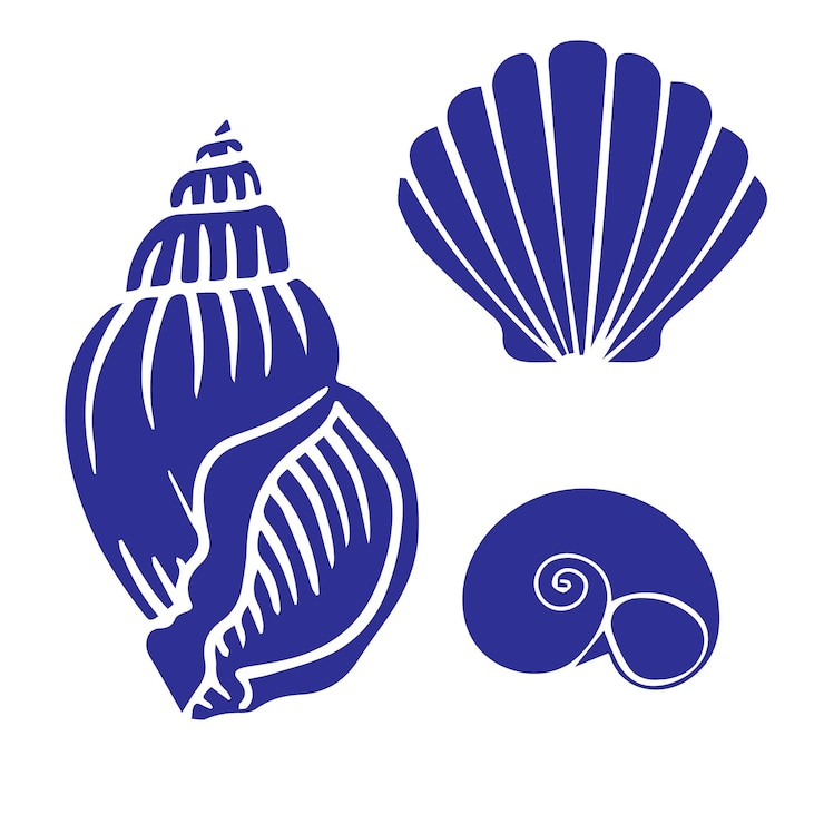 Vetor conchas marinhas