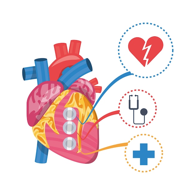 condição cardíaca à prevenção do infarto