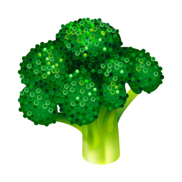 Ícone de brócolis de jardim Isométrico do ícone de vetor de brócolis de jardim para web design isolado no fundo branco