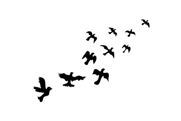 Ícone de pombos voadores pretos Símbolo de ilustração de pássaro voador Sinal vetor de pomba de rebanho