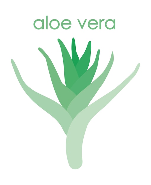 Ícone do logotipo da planta medicinal aloe vera