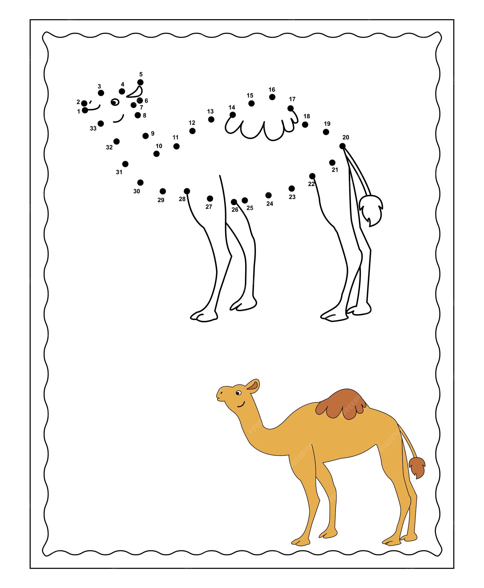 Desenhos Animados Do Cavalo Da Contagem E Do Fósforo Jogo Educacional Da  Matemática Para Crianças Ilustração do Vetor - Ilustração de teste, estudo:  111535738