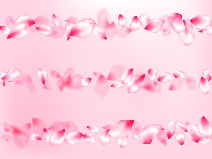 Vetor confetes de pétalas de sakura rosa voando e caindo