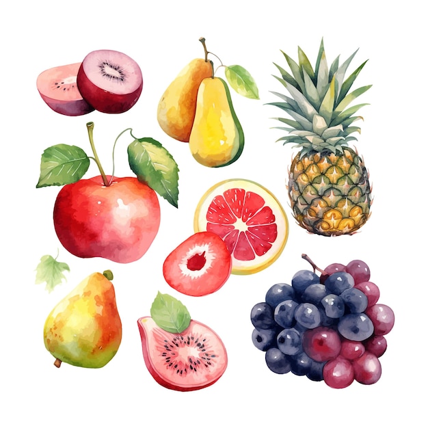 Vetor conjunto aquarela com frutas cítricas limão tangerina limão fundo branco