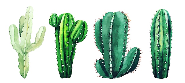 Conjunto aquarela de cactos e suculentas