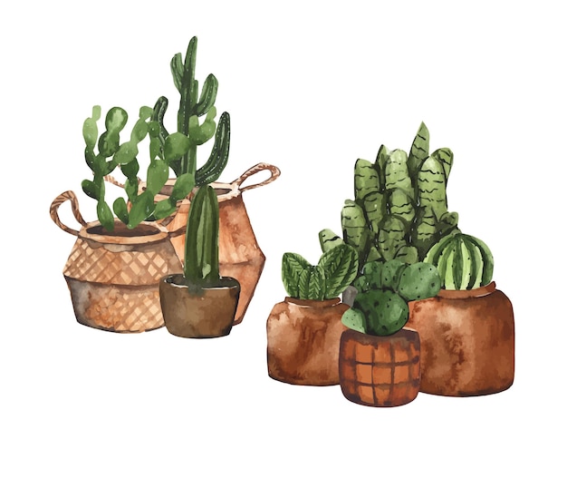 Conjunto aquarela de composições de cactos