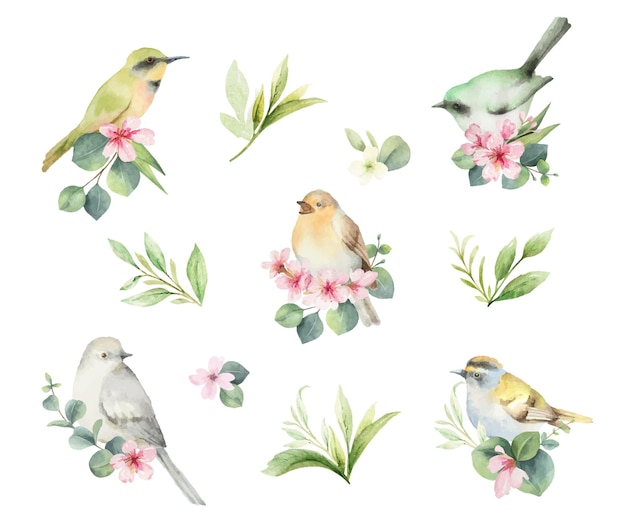 Vetor conjunto aquarela de pássaros com flores