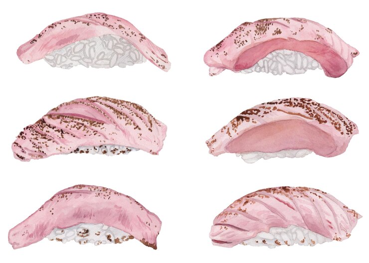 Vetor conjunto aquarela de sushi de atum grelhado