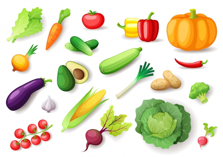 Vetor conjunto colorido de legumes frescos, alimentos saudáveis orgânicos