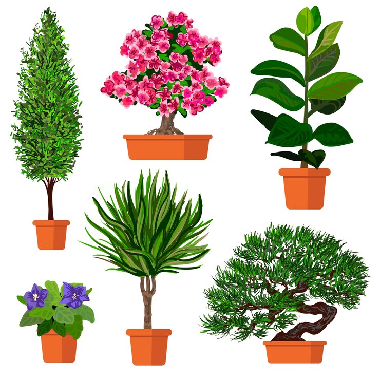 Conjunto colorido de vetor de ilustração de plantas em vaso.