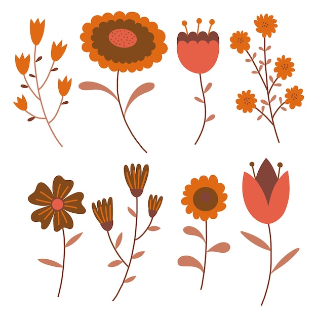 Conjunto colorido sazonal de elementos florais vetoriais Coleção de outono de flores e plantas