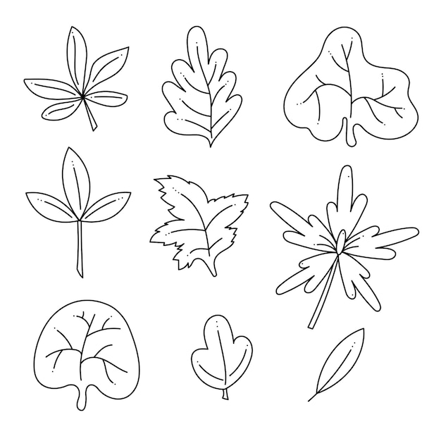 Conjunto com 9 folhas doodle abstrato ilustração vetorial de contorno desenhado à mão