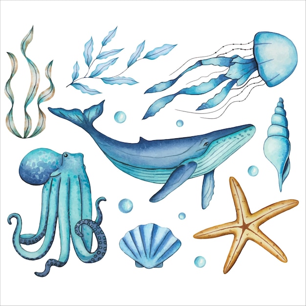 Conjunto com animais marinhos baleia polvo águas-vivas algas conchas estrela-marinha mundo subaquático ilustração a aquarela