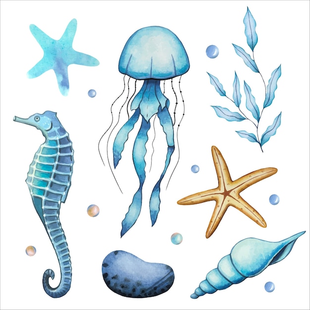 Conjunto com animais marinhos cavalos-marinhos águas-vivas algas conchas seixos mundo subaquático ilustração de aquarela desenhada à mão