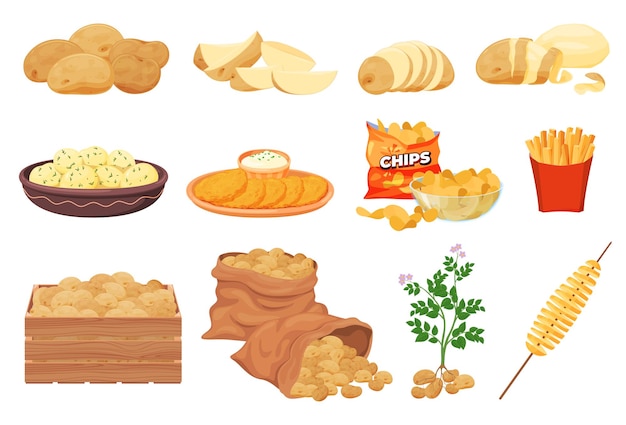 Conjunto com batatas pratos de batata ilustração vetorial de produtos alimentares agrícolas