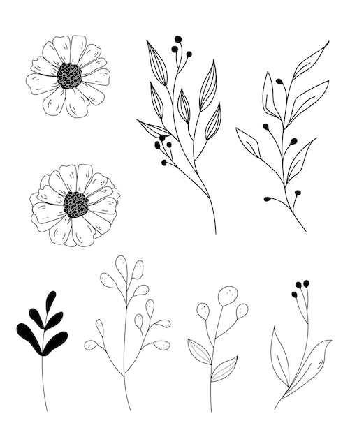 Conjunto com flores de linha e folhas vector lina art