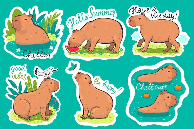 Vintage capivara desenhos animados adesivos para crianças