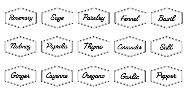 Vetor conjunto de adesivos de cozinha vetoriais etiqueta de pimenta especiaria etiqueta de erva etiqueta de emblema picante papel sal gengibre timão