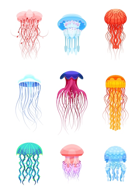 Conjunto de águas-vivas, belas criaturas do mar de cores diferentes ilustrações sobre um fundo branco