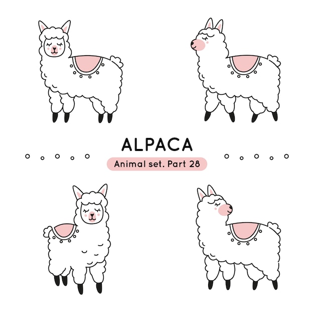 Conjunto de alpacas doodle em várias poses isoladas