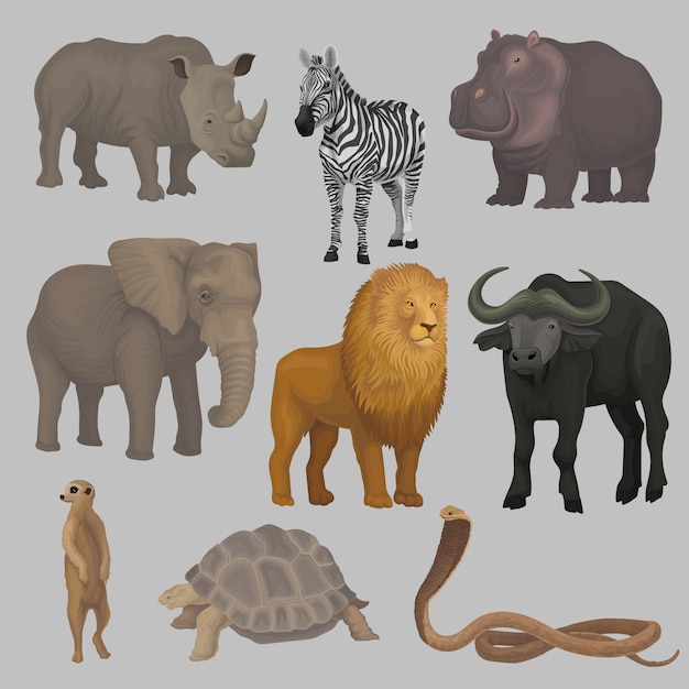 Conjunto de animais africanos selvagens, hipopótamo, elefante, girafa, rinoceronte, tartaruga, búfalo, zebra, leão, cobra ilustrações