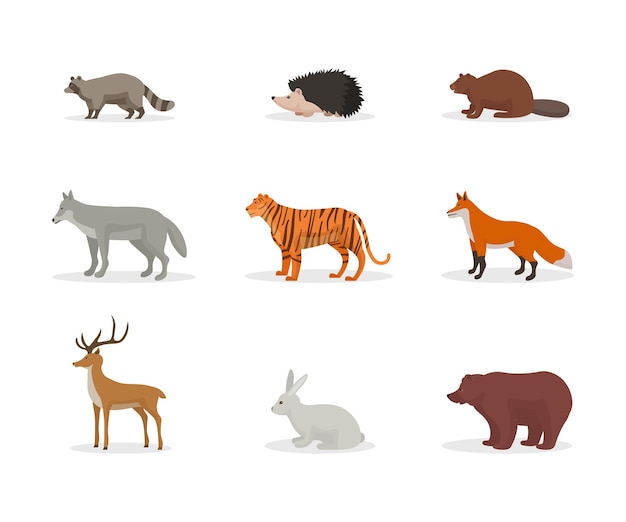 Conjunto de animais da floresta e da selva Floresta fauna mamíferos diversidade de espécies lobo tigre urso predadores raposa veado coelho