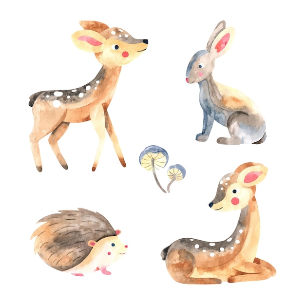 Conjunto de animais da floresta ilustração em aquarela da coleção de personagens fofinhos da floresta