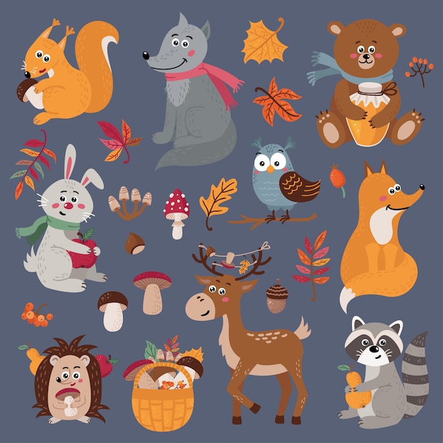 Conjunto de animais fofos da floresta