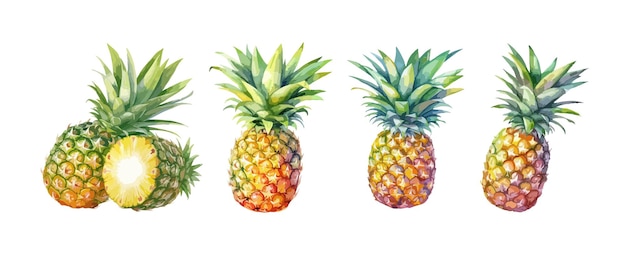 Vetor conjunto de aquarela de abacaxi isolada no fundo branco ilustração em vetor pintura de frutas