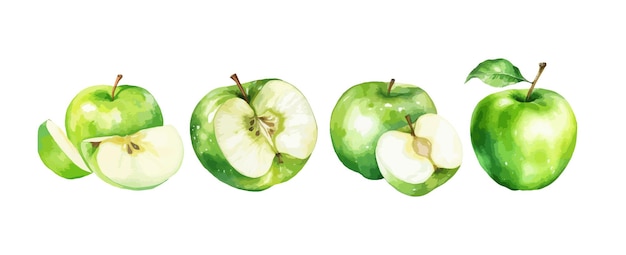 Vetor conjunto de aquarela de maçãs verdes isoladas em ilustração vetorial de fundo branco