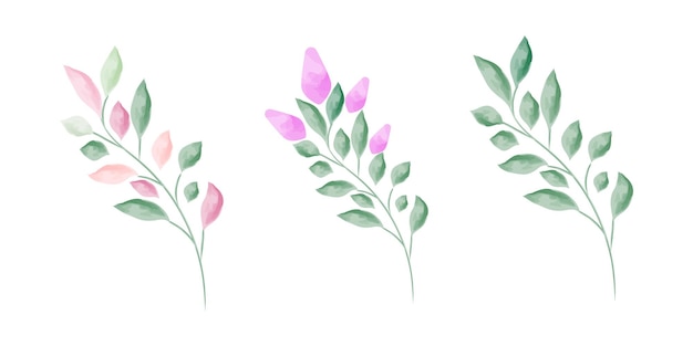 Vetor conjunto de aquarela deixa ilustração desenhada à mão de elementos florais isolados em um fundo branco