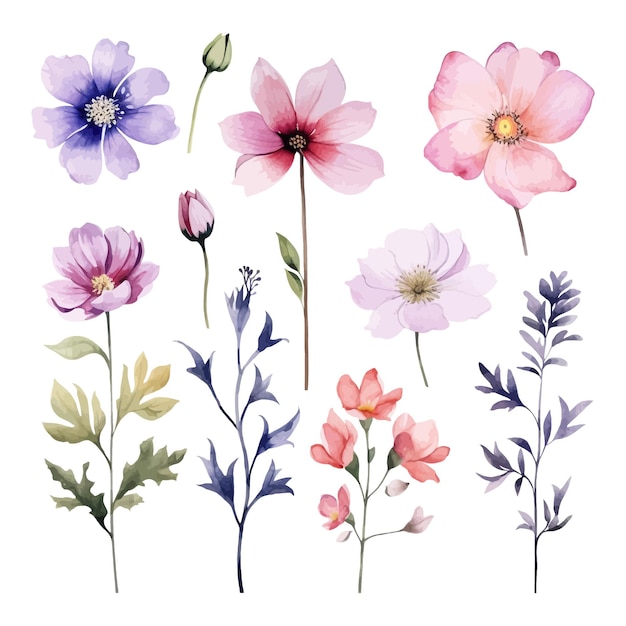 Conjunto de aquarela jarul flower clipart fundo branco