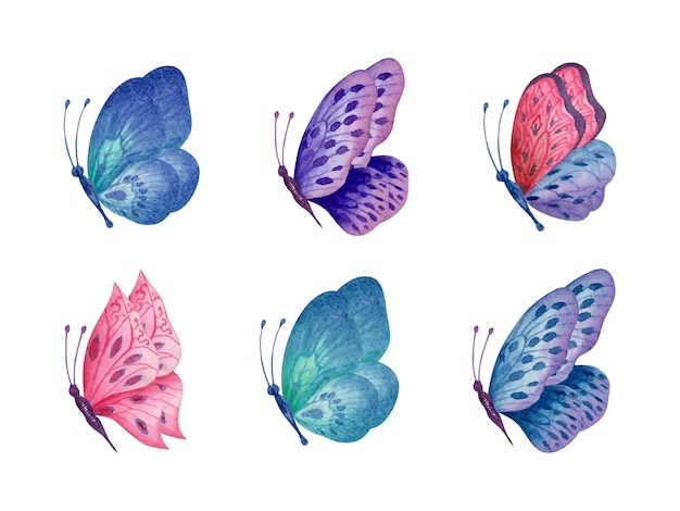 Conjunto de aquarela linda borboleta desenhada à mão