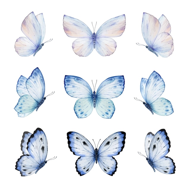 Vetor conjunto de aquarelas de borboletas pintadas à mão vetor azul brilhante