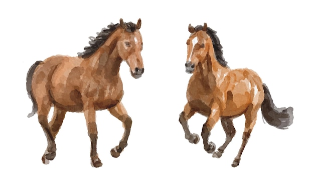 Conjunto de aquarelas de cavalos para convites de logotipo e mais