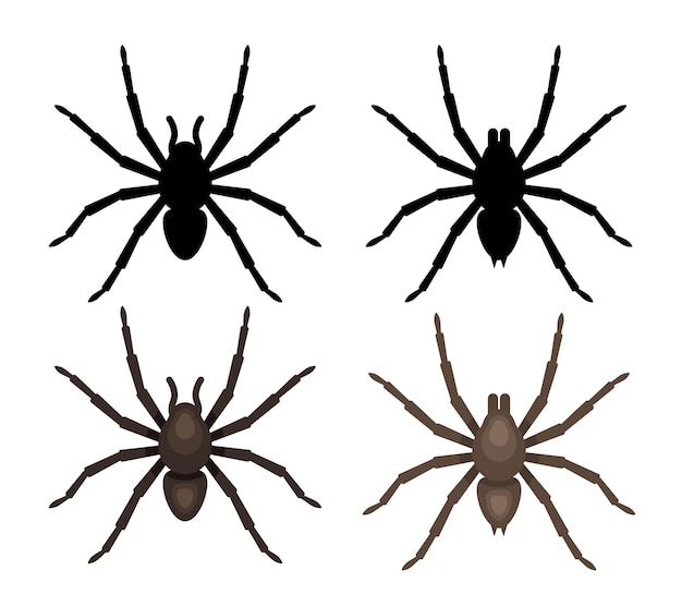 Vetor conjunto de aranhas clipart vetorial isolado em fundo branco