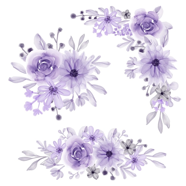 Vetor conjunto de arranjo de flores isolado flor roxo suave aquarela