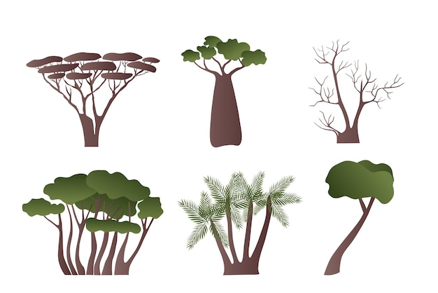 Conjunto de árvores vetoriais da áfrica e do oriente para o projeto acacia palm e similares