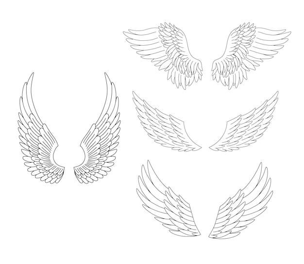 Conjunto de asas heráldicas isoladas em branco Ícones de contorno vetorial coleções de asas de anjo ou pássaro