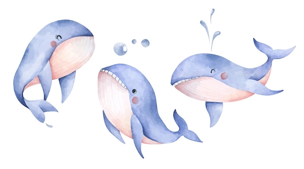Conjunto de baleia azul fofa arte animal subaquática ilustração em aquarela