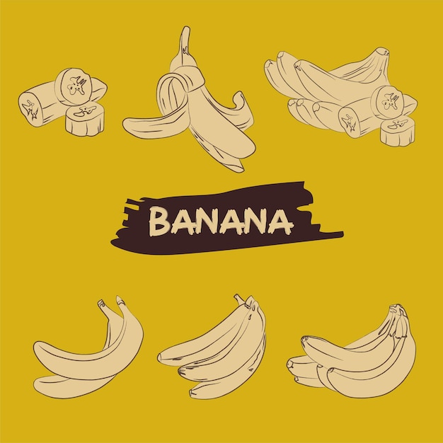 Conjunto de banana com pincel de pintura