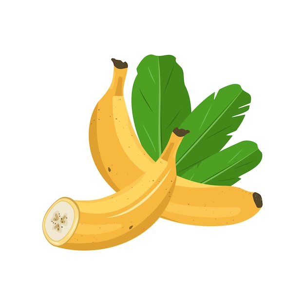 Conjunto de banana inteira e meia amarela doce com folhas. deliciosa fruta exótica saudável. ilustração vetorial de comida plana