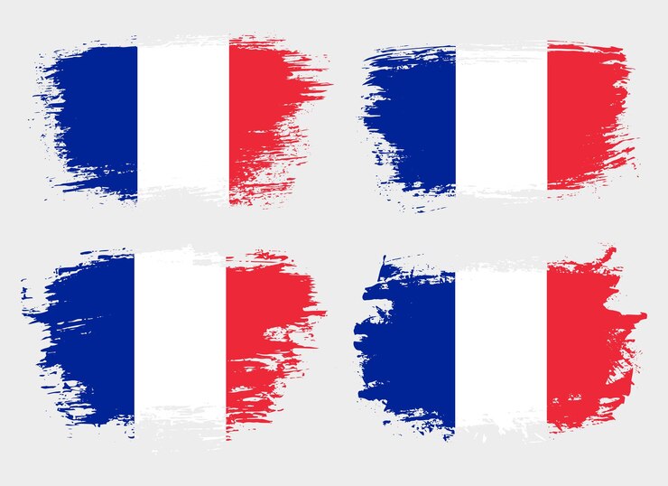 Vetor conjunto de bandeira de pincel grunge do país da frança em fundo sólido