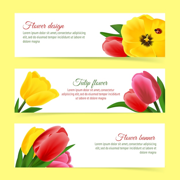 Conjunto de banner de tulipa