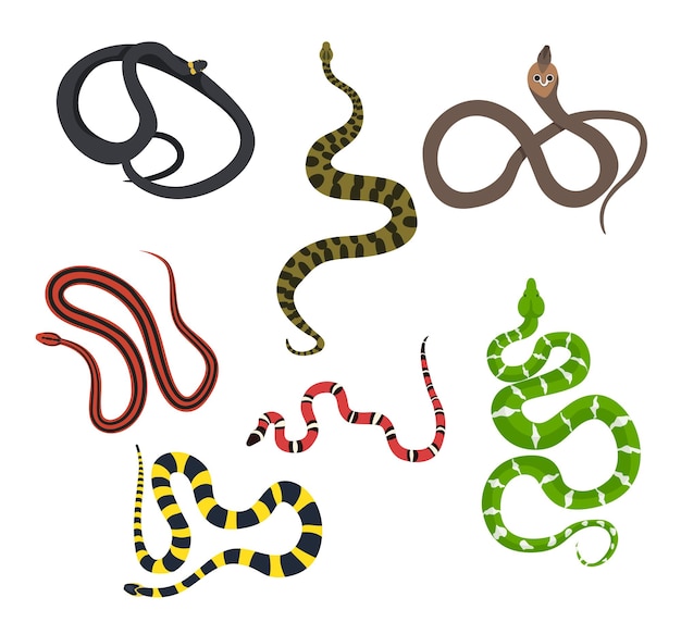 Conjunto de bela cobra em fundo branco Vector ssnake anaconda rei cobra dogheaded boa leite cobra fita krife thai cobra vermelha em estilo de desenho animado